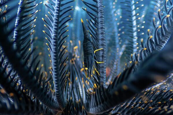 "Время присмотреться": эти фото из мира дикой природы не оставят вас равнодушными! "Время присмотреться": эти фото из мира дикой природы не оставят вас равнодушными!