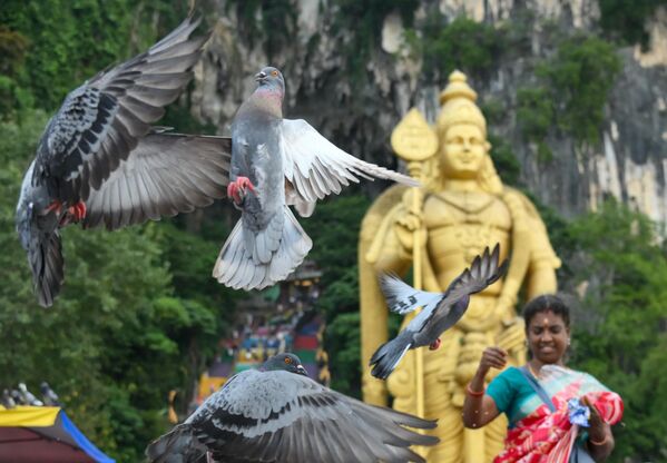 Свадебный футбол и пикантный заплыв ведьм: итоги недели в 10 забавных кадрах Свадебный футбол и пикантный заплыв ведьм: итоги недели в 10 забавных кадрах