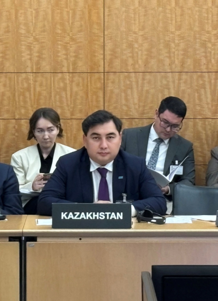 На площадке ОЭСР Казахстан подтвердил курс на глубокое обновление культуры госуправления На площадке ОЭСР Казахстан подтвердил курс на глубокое обновление культуры госуправления