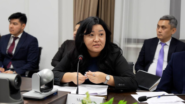 Казахстан внедряет цифровую систему подачи заявок и договоров на поливную воду