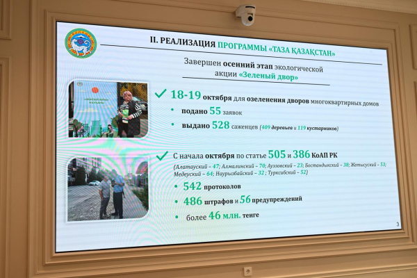 Аким Алматы призвал усилить контроль за чистотой и оперативность реагирования на обращения граждан