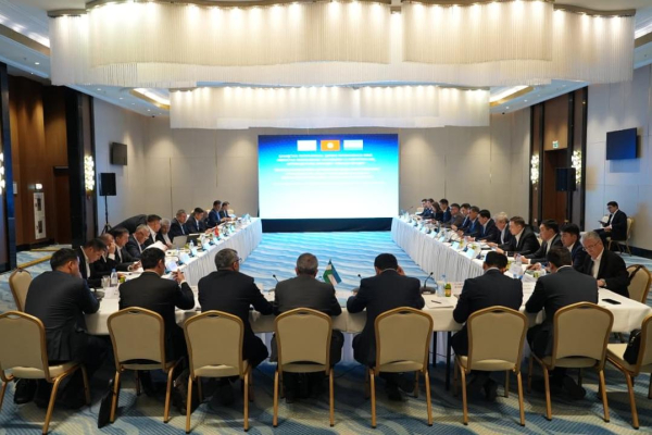 Страны Центральной Азии договорились о взаимных поставках электроэнергии и поддержке в зимний период