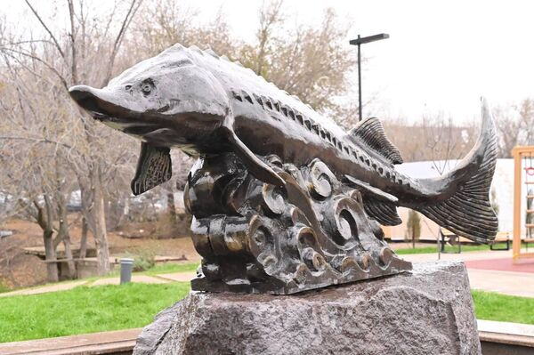 Жизнь на берегу Урала: новое дыхание старого Уральска - фоторепортаж