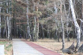 В Макинске завершается благоустройство городского парка