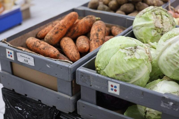 В Аккольском районе социальная помощь стала цифровой В Аккольском районе социальная помощь стала цифровой