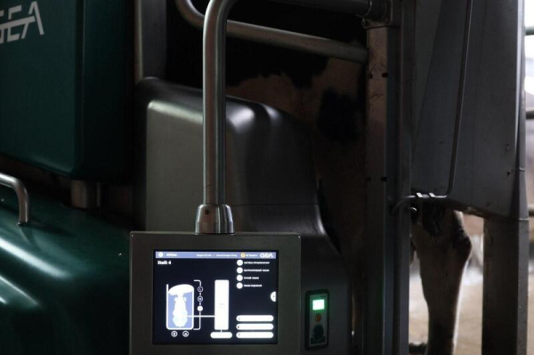 Цифровая ферма в сердце Акмолинской области: в Аккольском районе появились роботы-дояры Цифровая ферма в сердце Акмолинской области: в Аккольском районе появились роботы-дояры