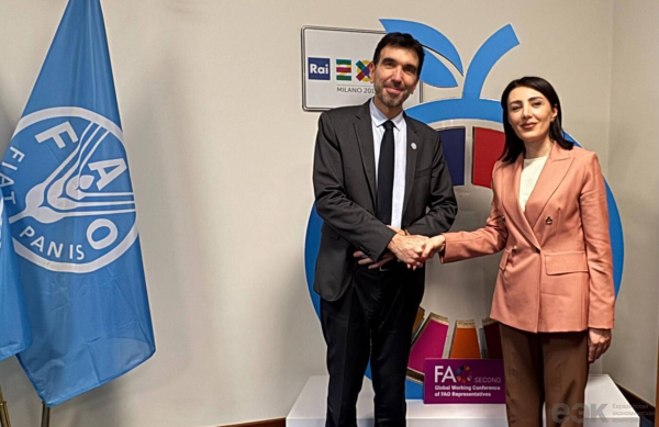 Государства ЕАЭС вносят значительный вклад в борьбу с голодом - министр ЕЭК Барсегян