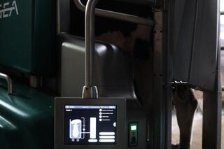 Цифровая ферма в сердце Акмолинской области: в Аккольском районе появились роботы-дояры Цифровая ферма в сердце Акмолинской области: в Аккольском районе появились роботы-дояры