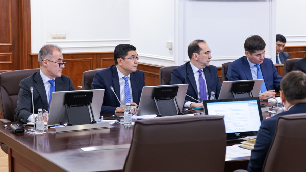 Международные финансовые институты поддержат цифровизацию и развитие ИИ в Казахстане