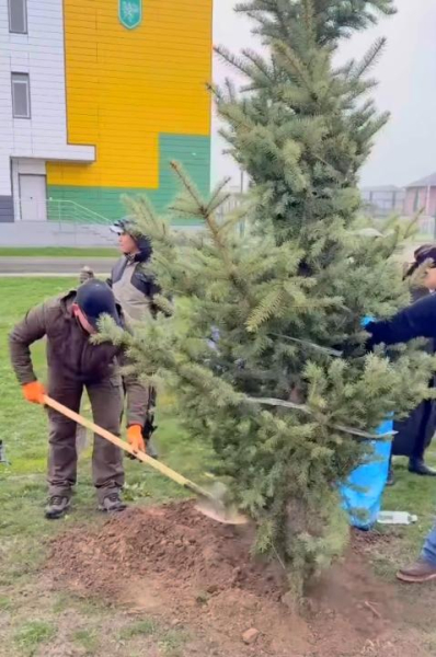Новые деревья и чистые улицы: итоги экоакции в Карасайском районе