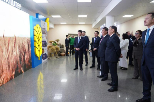 Рекордный урожай и громкое признание: в Акмолинской области наградили лучших аграриев