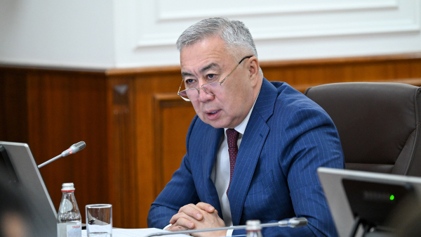 Международные финансовые институты поддержат цифровизацию и развитие ИИ в Казахстане