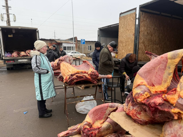 
По каким ценам продают мясо и овощи на ярмарках в разных регионах Казахстана
