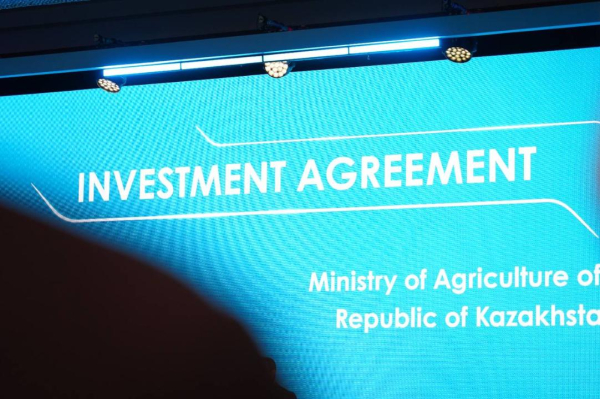 В Астане и Шымкенте появятся современные заводы по переработке мусора