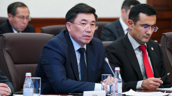 Казахстан и ЕС обсудили пути улучшения инвестиционного климата и расширения сотрудничества