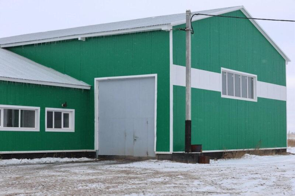 Цифровая ферма в сердце Акмолинской области: в Аккольском районе появились роботы-дояры Цифровая ферма в сердце Акмолинской области: в Аккольском районе появились роботы-дояры