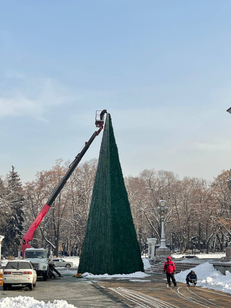 Экоёлка Алматы Экоёлка Алматы