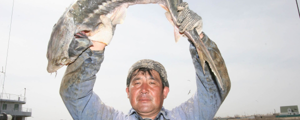 30 тысяч мальков форели выпустили на рыбоводческой ферме в Каспийском море 30 тысяч мальков форели выпустили на рыбоводческой ферме в Каспийском море