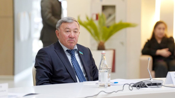 Переработка сельхозпродукции: новые проекты и инвестиции в Туркестане