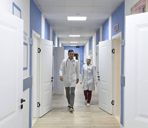 В Казахстане создают единую систему управления ресурсами медицины