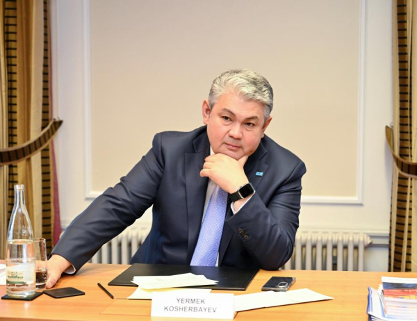 Швейцарские инвесторы готовы реализовать проекты в ключевых секторах Казахстана