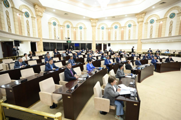 Сенат одобрил Цифровой кодекс
Сенат одобрил Цифровой кодекс