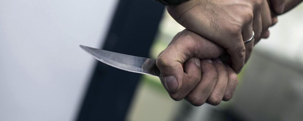 Ребенок погиб после нападения подростка с ножом в подмосковной школе Ребенок погиб после нападения подростка с ножом в подмосковной школе