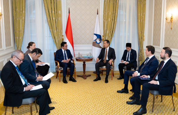 ЕАЭС и Индонезия расширяют торгово-экономическое партнерство