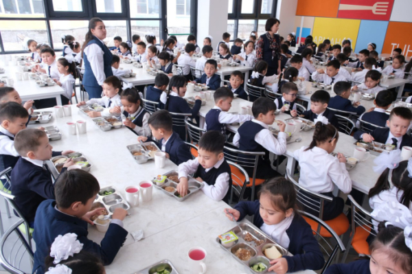 Депутат вступилась за поставщиков школьного питания
Депутат вступилась за поставщиков школьного питания