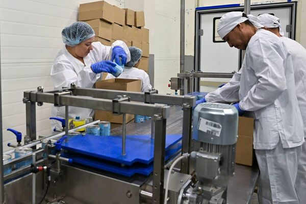 Крупнейший в Казахстане цех по производству сгущенного молока открыли в Петропавловске 