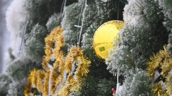 Елочка, гори! Когда и где в Астане зажгут огни на новогодних елках Елочка, гори! Когда и где в Астане зажгут огни на новогодних елках