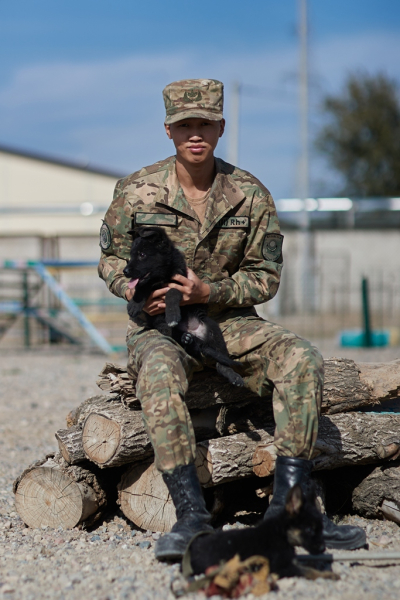 Щенки тоже готовы служить стране: в Нацгвардии увеличивается число породистых служебных собак Щенки тоже готовы служить стране: в Нацгвардии увеличивается число породистых служебных собак