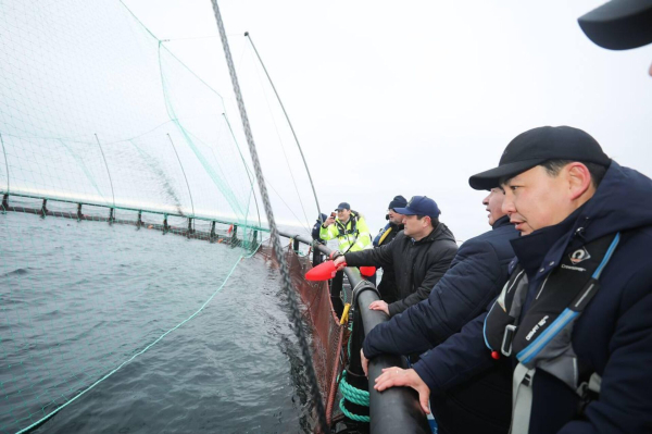 30 тысяч мальков форели выпустили на рыбоводческой ферме в Каспийском море 30 тысяч мальков форели выпустили на рыбоводческой ферме в Каспийском море