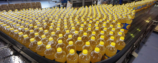 До $1 млрд Казахстан увеличит экспорт подсолнечного масла к 2028 году