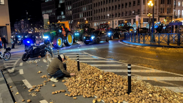 Бельгийские фермеры вышли на акцию протеста в Брюсселе Бельгийские фермеры вышли на акцию протеста в Брюсселе