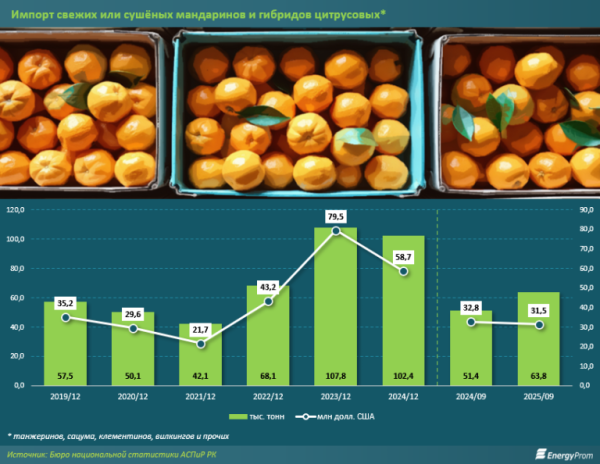 Китай — главный поставщик мандаринов в Казахстан Китай — главный поставщик мандаринов в Казахстан