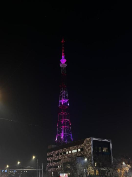 В Алматы ко Дню Независимости обновили подсветку телебашни В Алматы ко Дню Независимости обновили подсветку телебашни
