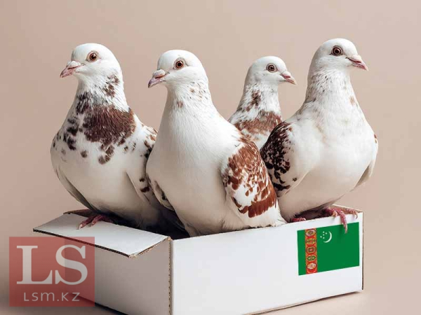 Казахстан покупает голубей и напитки в Туркменистане Казахстан покупает голубей и напитки в Туркменистане