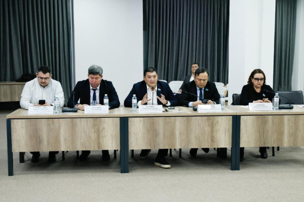 LRT запустят в Алматы до 2040 года