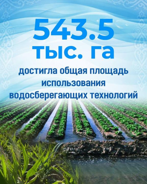 Вода и экономика: главные итоги ирригационного сезона в Казахстане