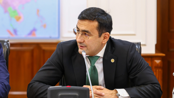 Инфраструктура как ключ к инвестициям: Правительство делает ставку на СЭЗ