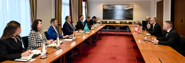 Швейцарские инвесторы готовы реализовать проекты в ключевых секторах Казахстана