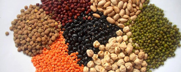 Россия впервые в 2025 году отправила квиноа в Казахстан Россия впервые в 2025 году отправила квиноа в Казахстан