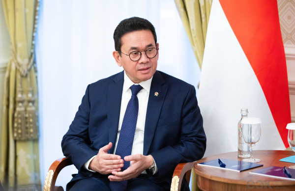 ЕАЭС и Индонезия расширяют торгово-экономическое партнерство