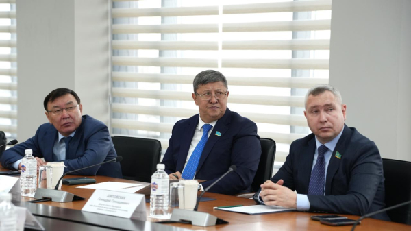 Депутаты Сената поддержали инициативы МЧС по повышению безопасности населения