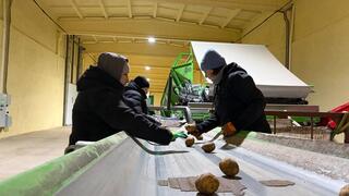 В Степногорске расширяется производство картофеля В Степногорске расширяется производство картофеля