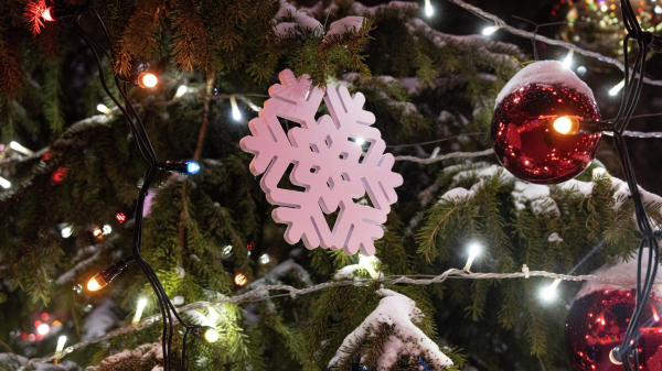 Елочка, гори! Когда и где в Астане зажгут огни на новогодних елках Елочка, гори! Когда и где в Астане зажгут огни на новогодних елках