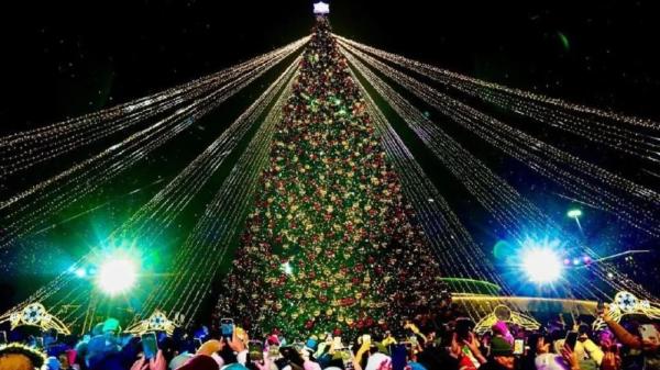 40 новогодних ёлок одновременно зажгут в Астане
40 новогодних ёлок одновременно зажгут в Астане