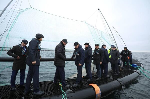 30 тысяч мальков форели выпустили на рыбоводческой ферме в Каспийском море 30 тысяч мальков форели выпустили на рыбоводческой ферме в Каспийском море