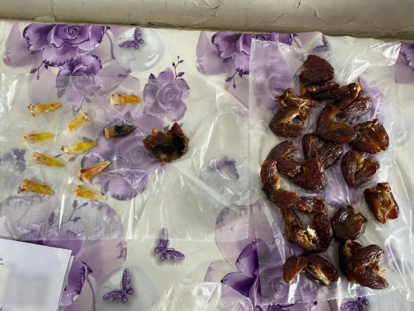 Военнослужащие Национальной гвардии МВД РК пресекли две попытки проноса запрещённых предметов в учреждения УИС Военнослужащие Национальной гвардии МВД РК пресекли две попытки проноса запрещённых предметов в учреждения УИС